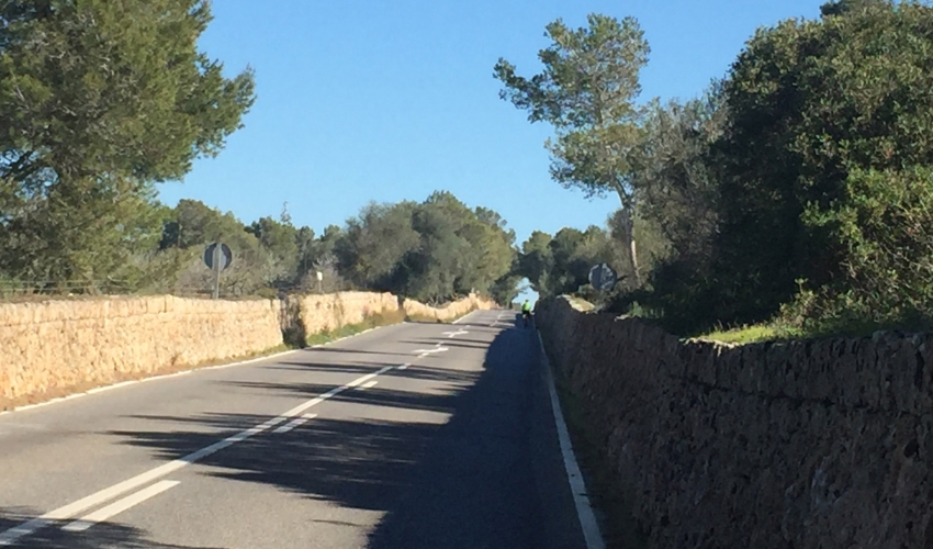 Einmal Malle, immer Malle ...!